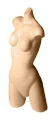 Female Torso