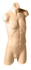 Male Torso Mannequin
