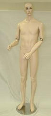 Male Mannequin