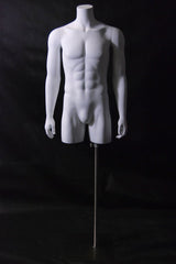 Male Torso