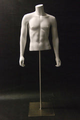 Male Torso