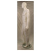 Male Plastic Mannequin w/Head