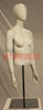 Female Half Torso