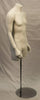 Male Torso