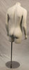 Male Torso