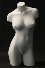 Female Torso