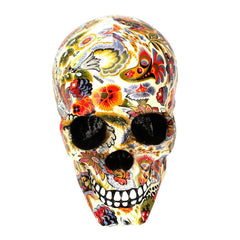 Skull Head Display